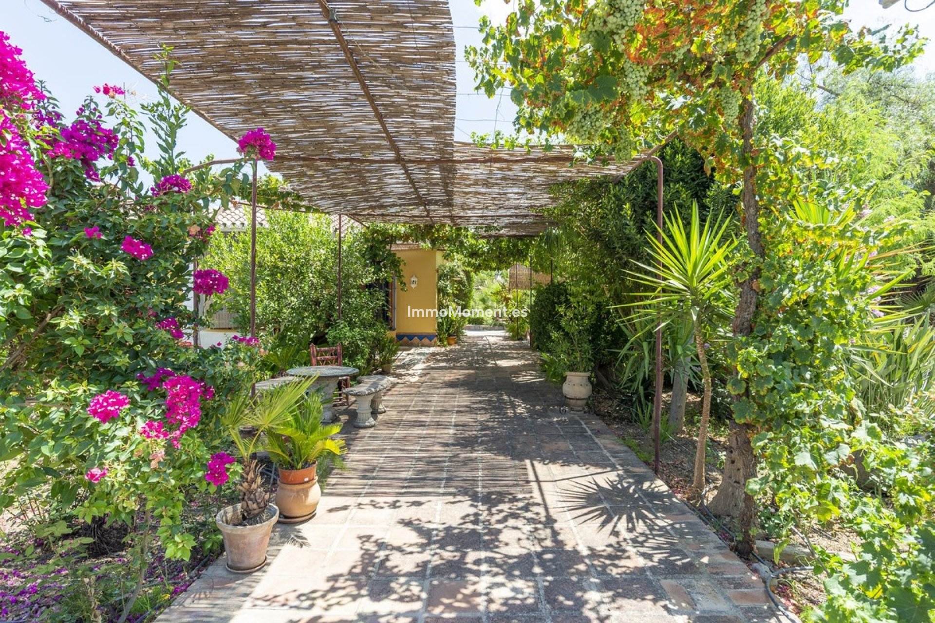 Reventa - Casa de campo - Interior  - Coín