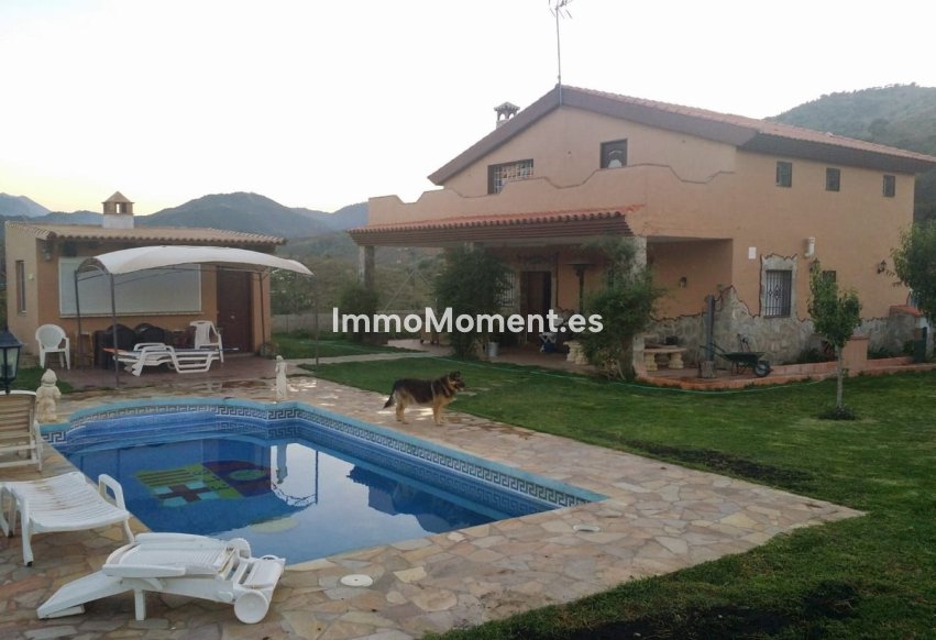 Reventa - Casa de campo - Interior  - Guaro