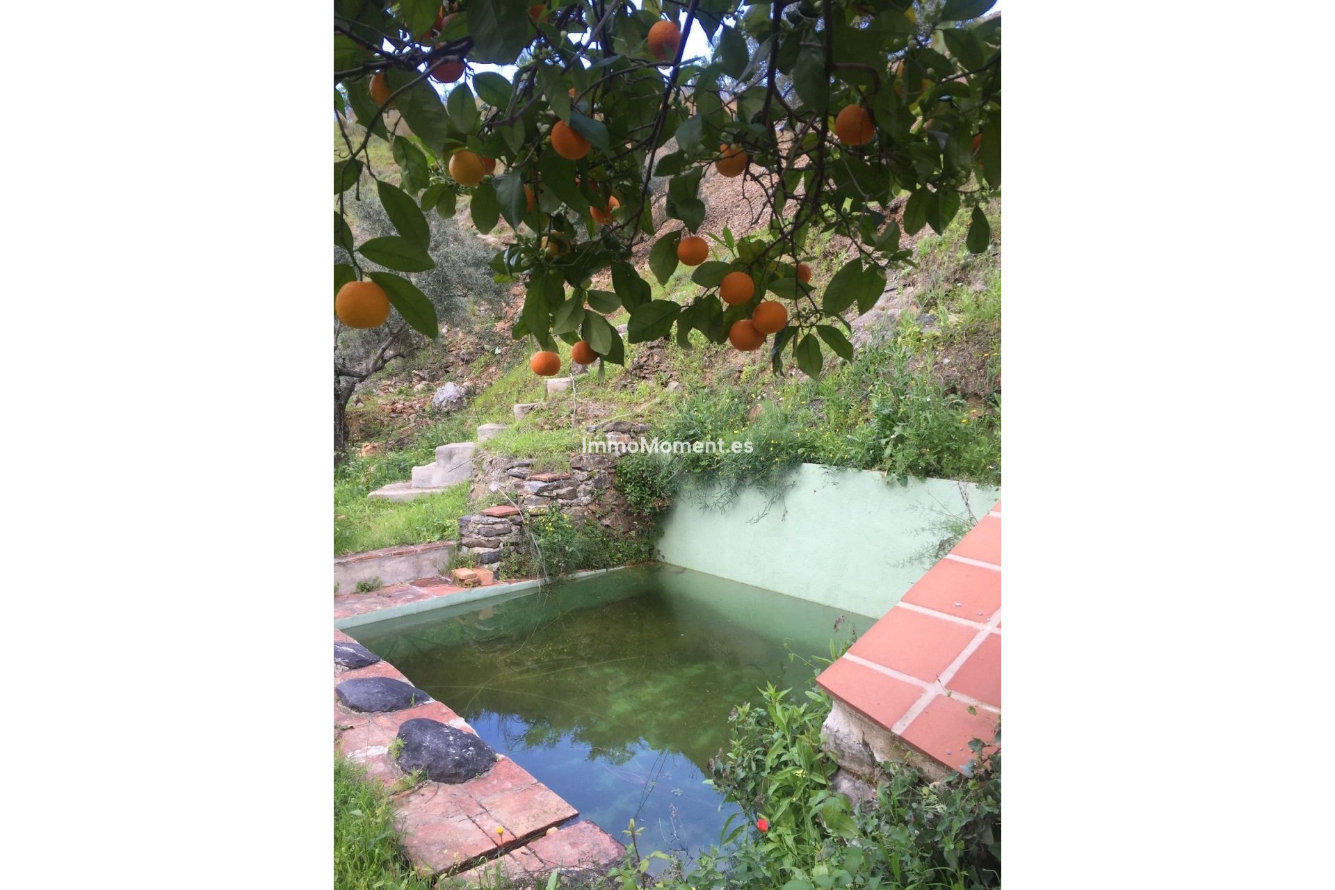 Reventa - Casa de campo - Interior  - Guaro