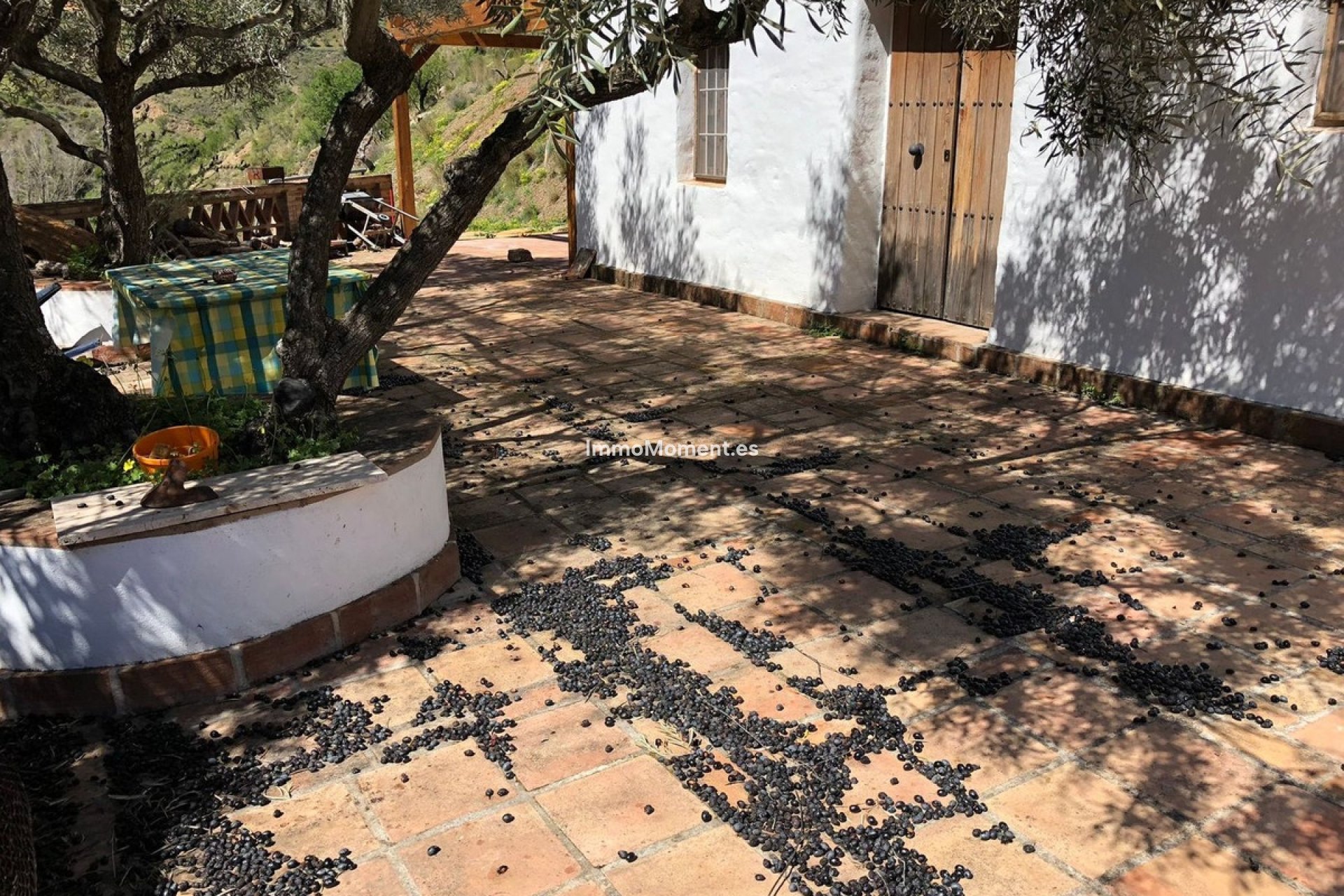 Reventa - Casa de campo - Interior  - Guaro