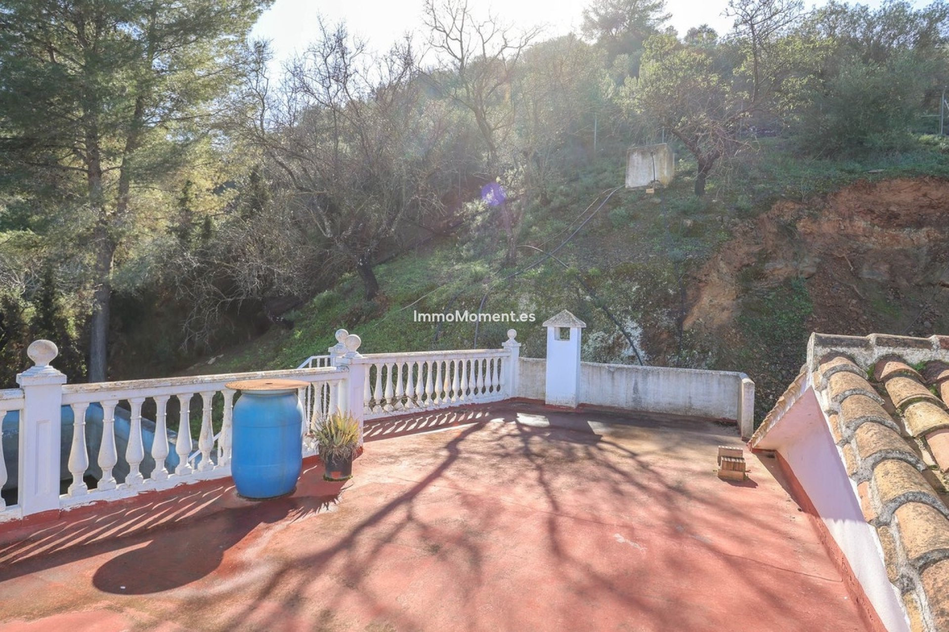 Reventa - Casa de campo - Interior  - Guaro