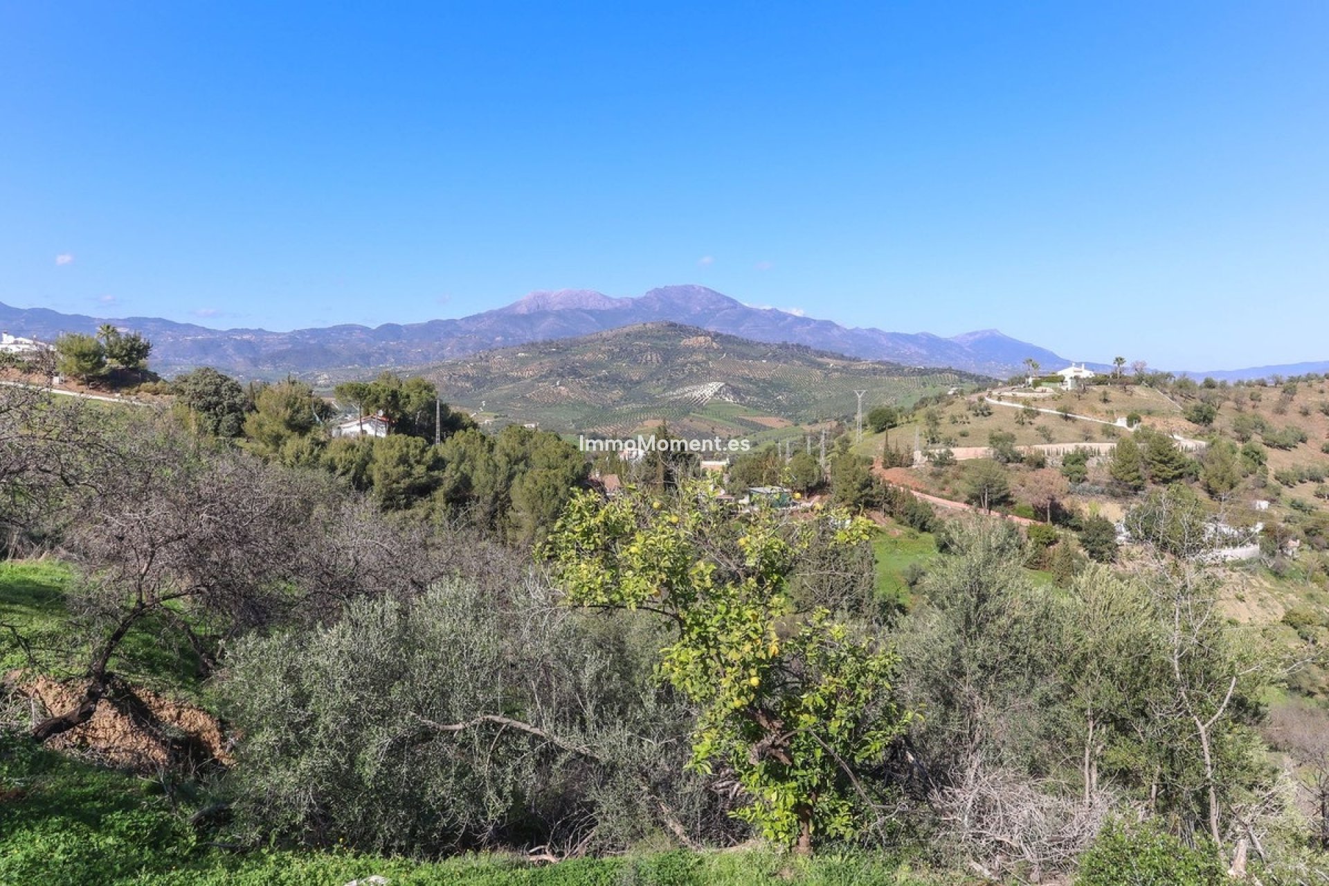 Reventa - Casa de campo - Interior  - Guaro