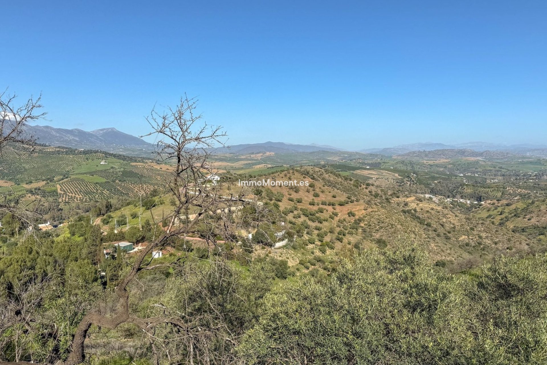 Reventa - Casa de campo - Interior  - Guaro