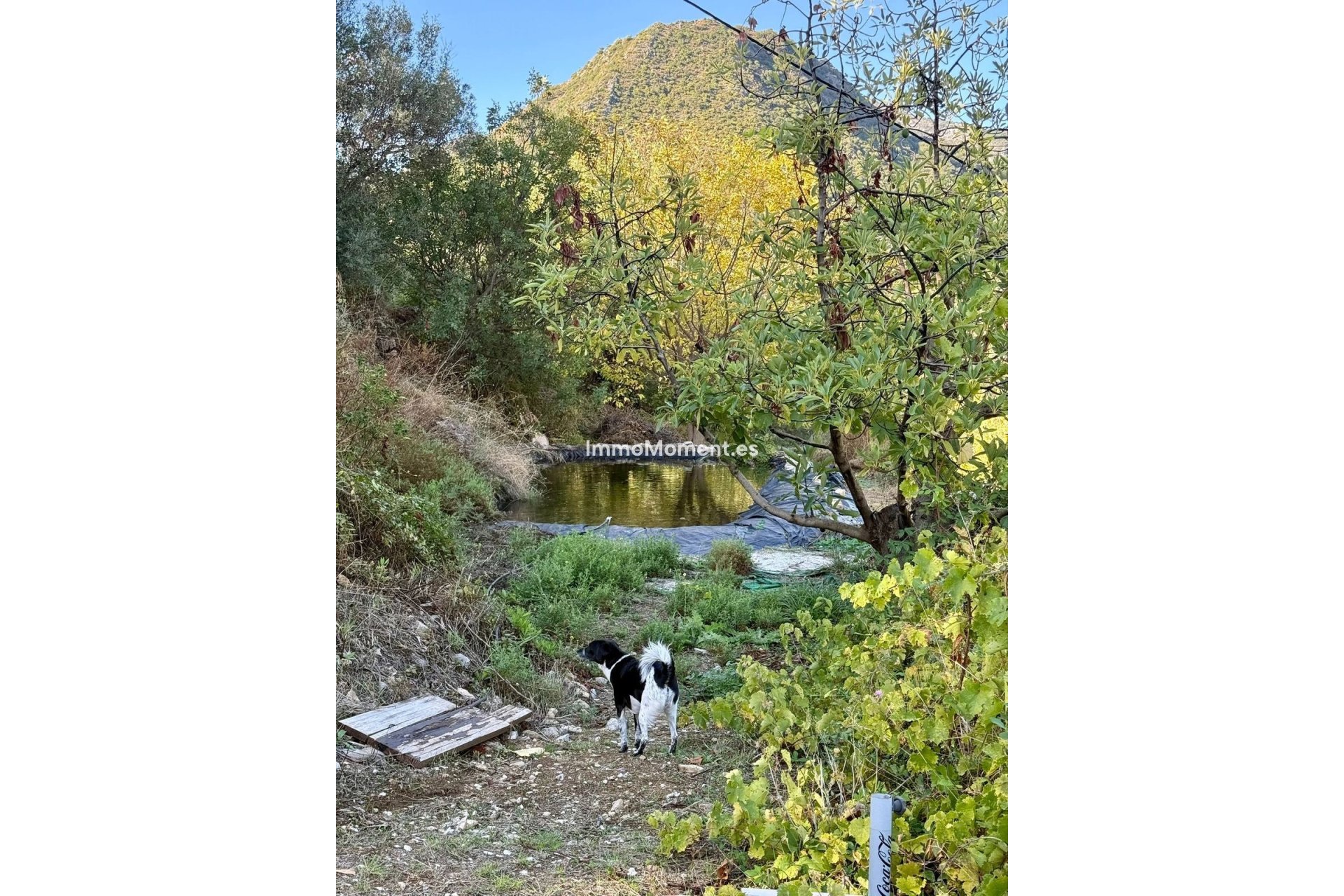 Reventa - Casa de campo - Interior  - Ojén