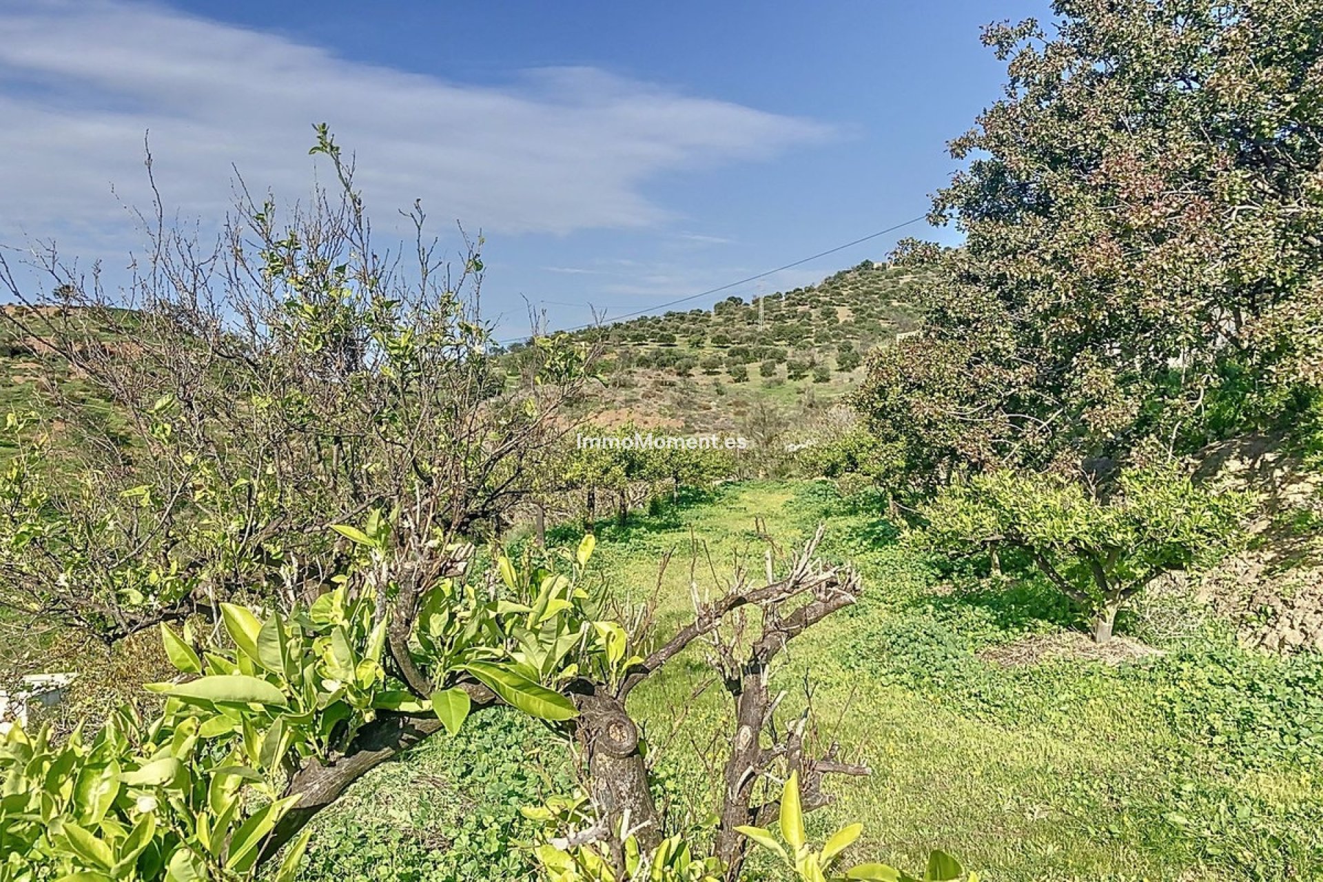Reventa - Casa de campo - Interior  - Pizarra