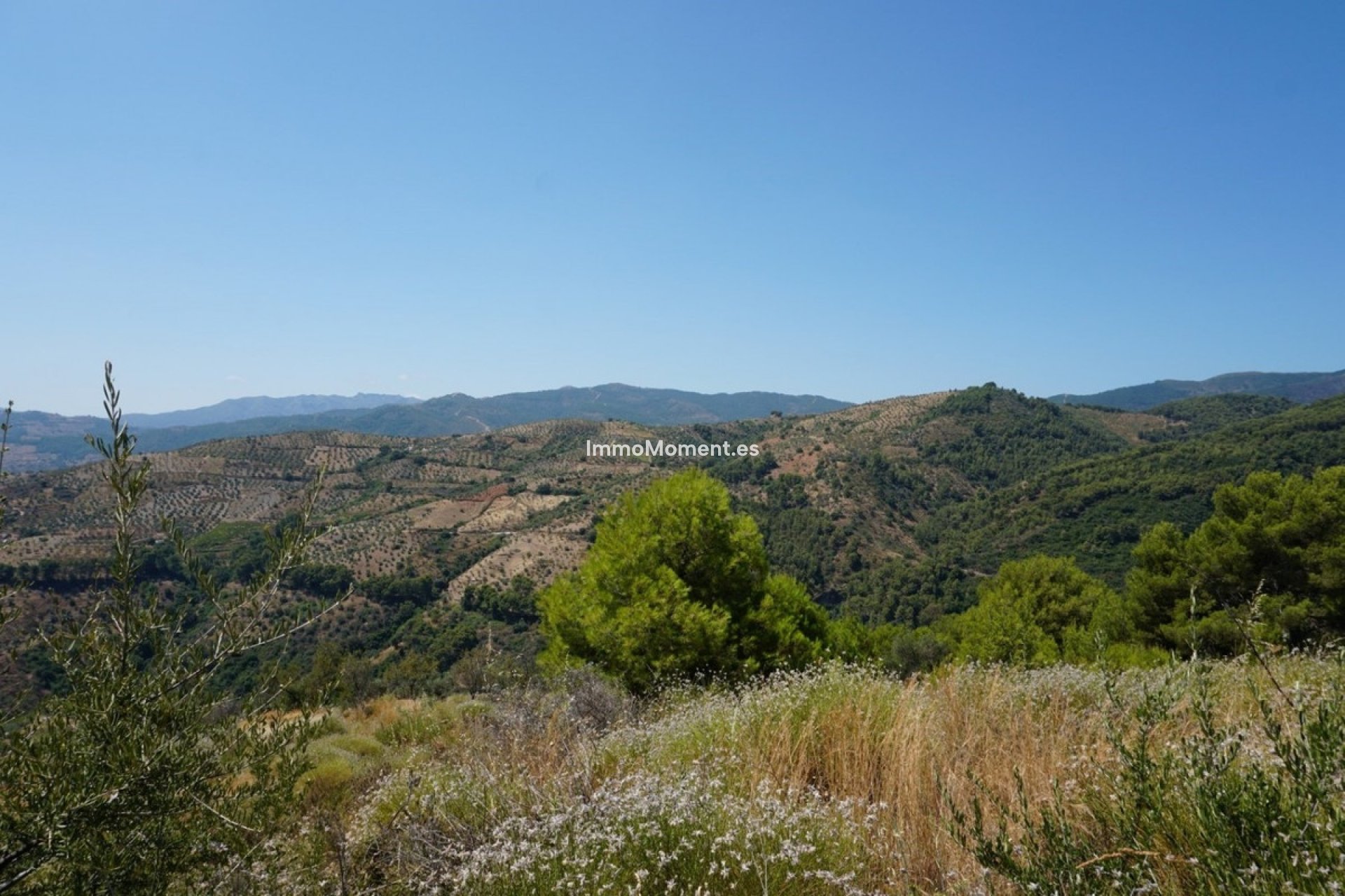 Reventa - Casa de campo - Interior  - Yunquera