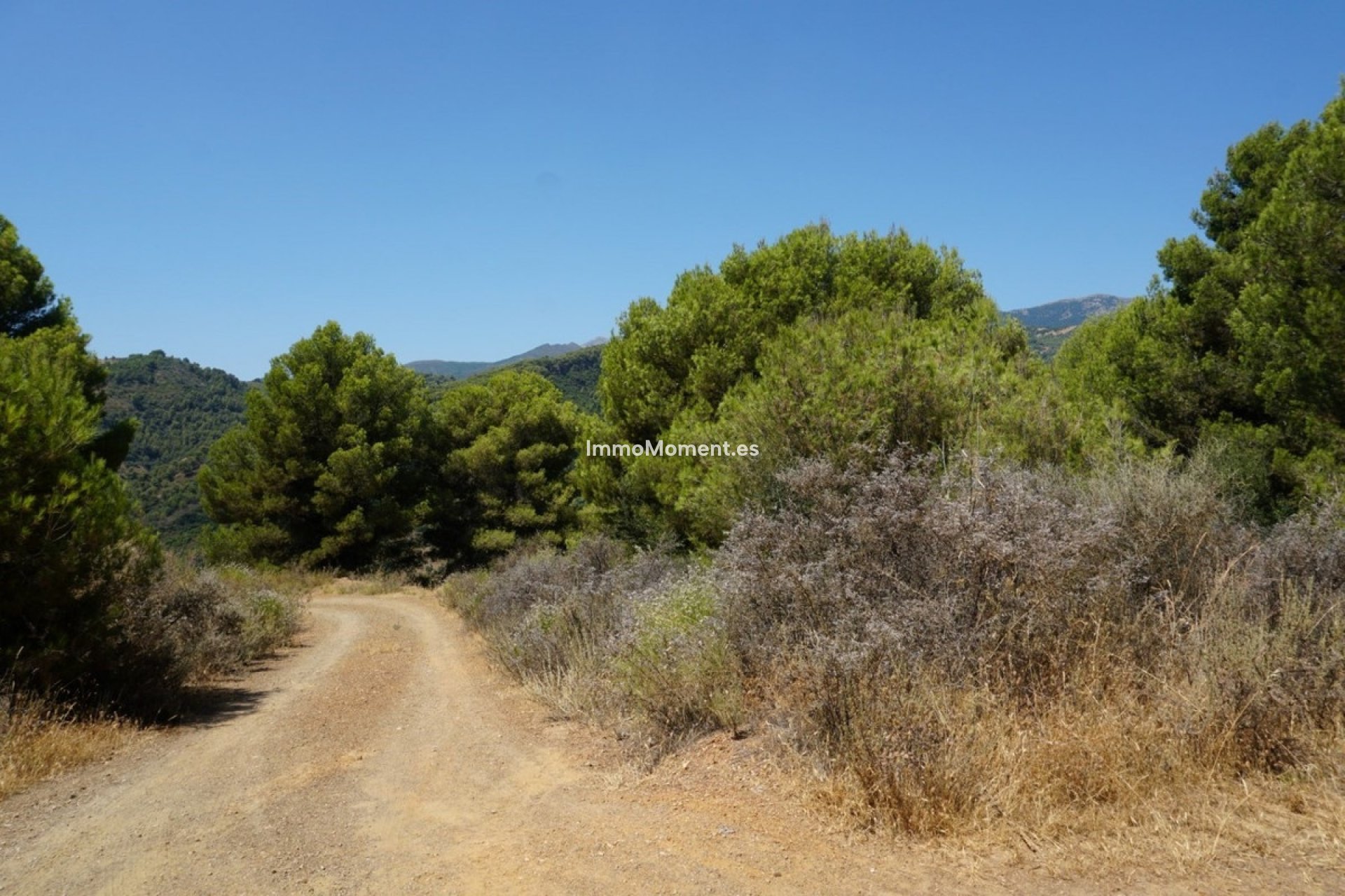 Reventa - Casa de campo - Interior  - Yunquera