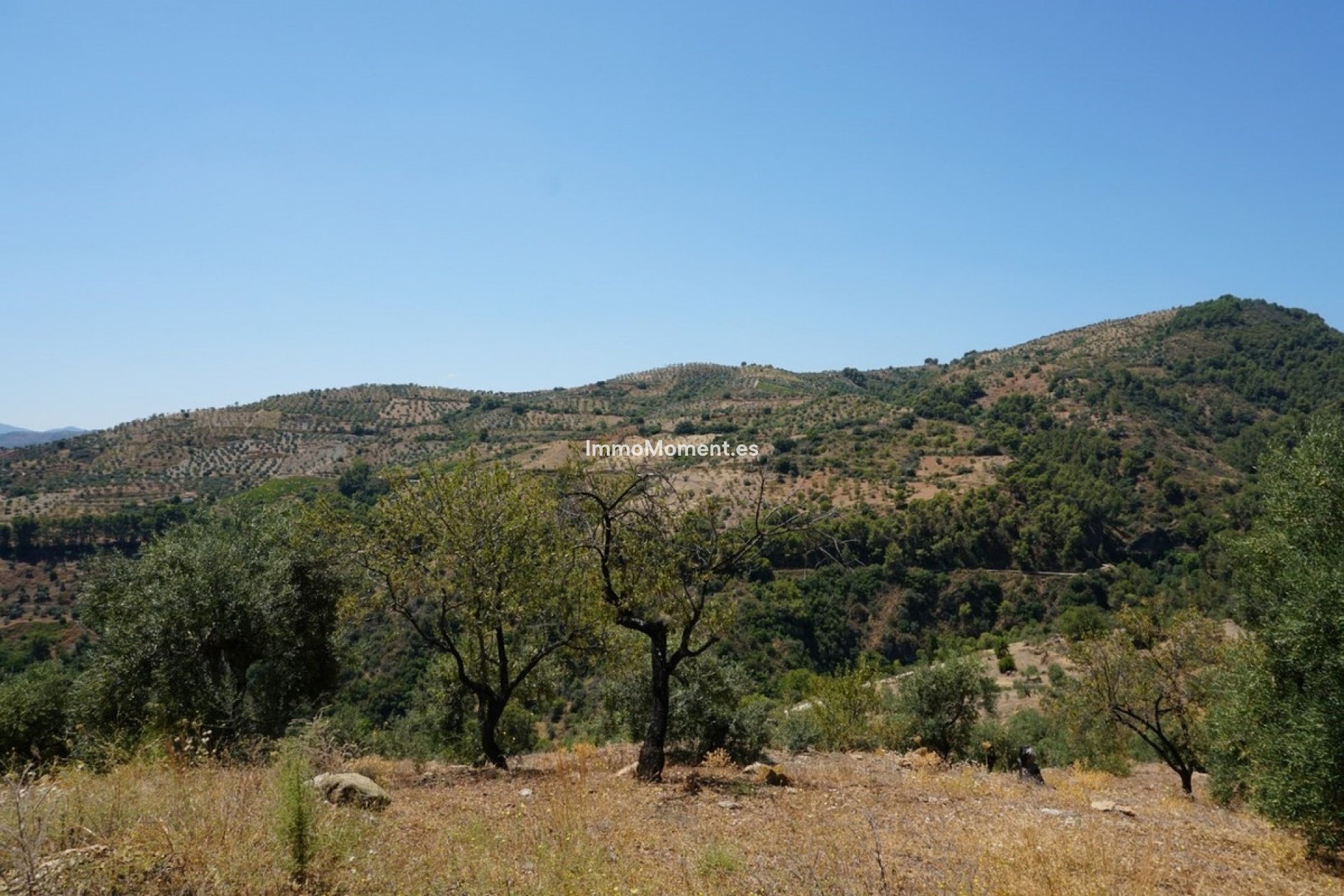 Reventa - Casa de campo - Interior  - Yunquera