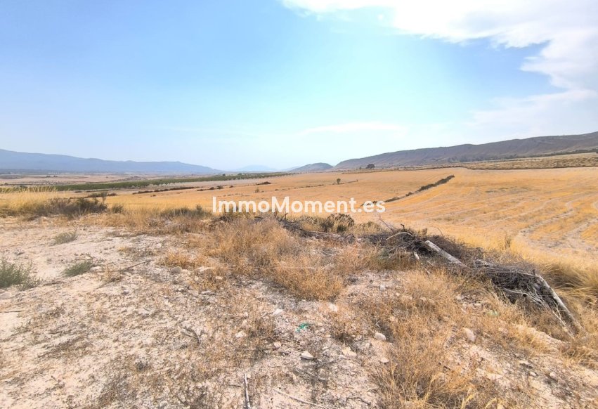 Reventa - Casa de campo - Jumilla - Jumilla Centro