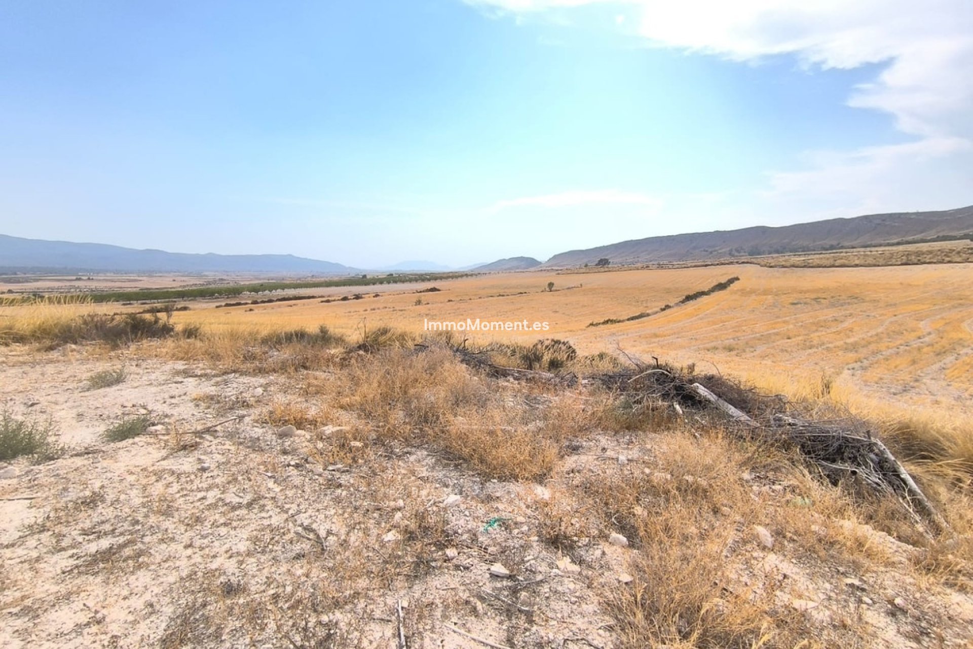 Reventa - Casa de campo - Jumilla - Jumilla Centro