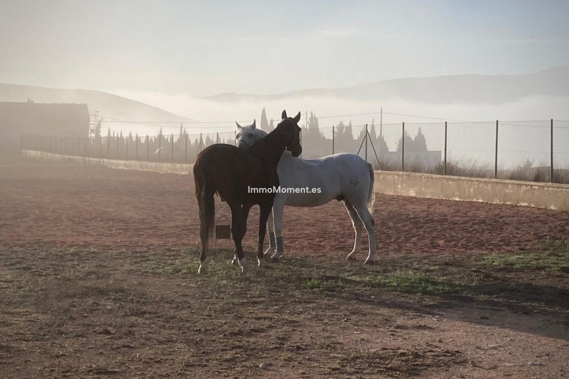 Reventa - Casa de campo - Jumilla - Torre Del Rico