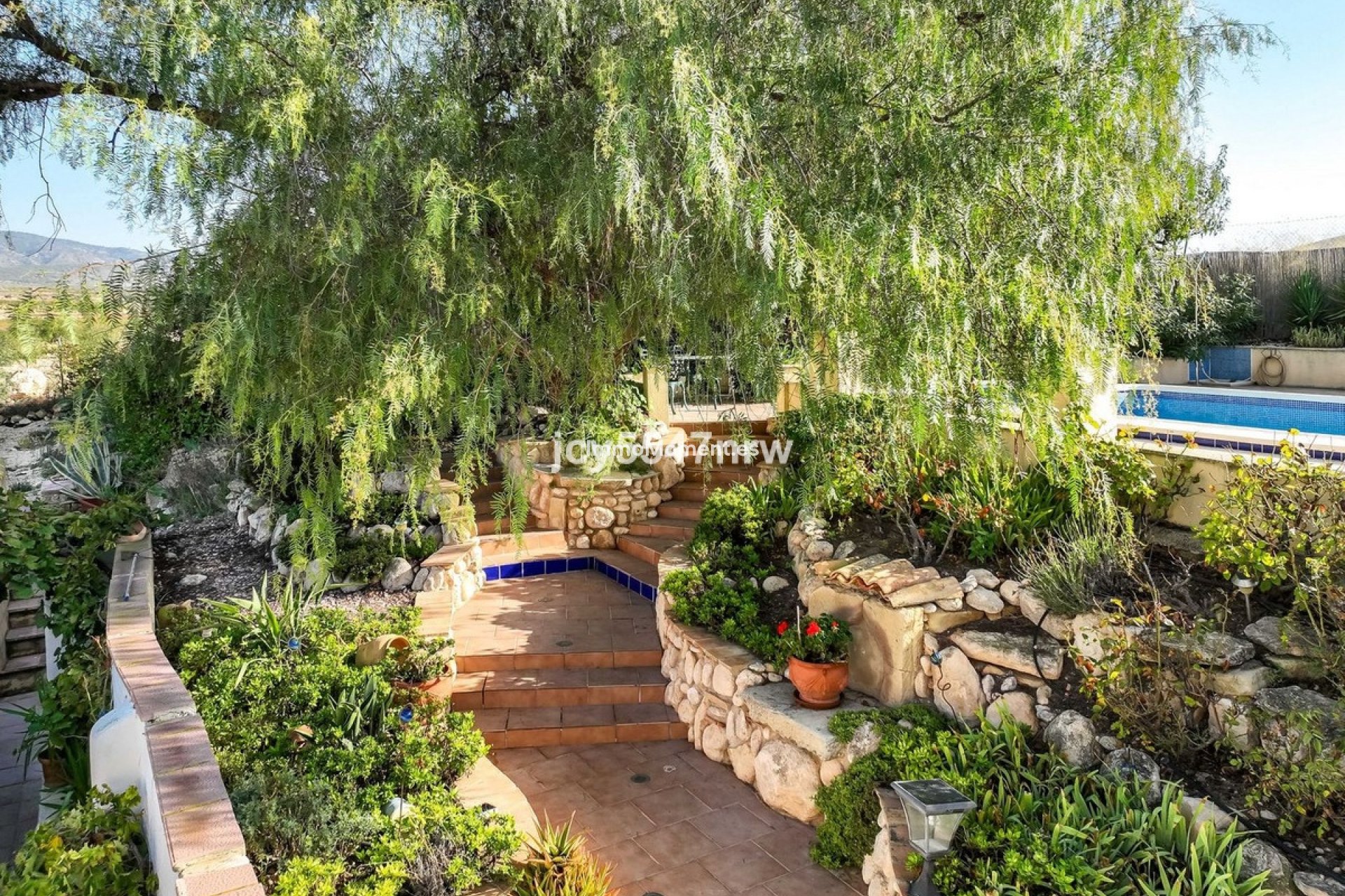 Reventa - Casa de campo - Jumilla - Torre Del Rico