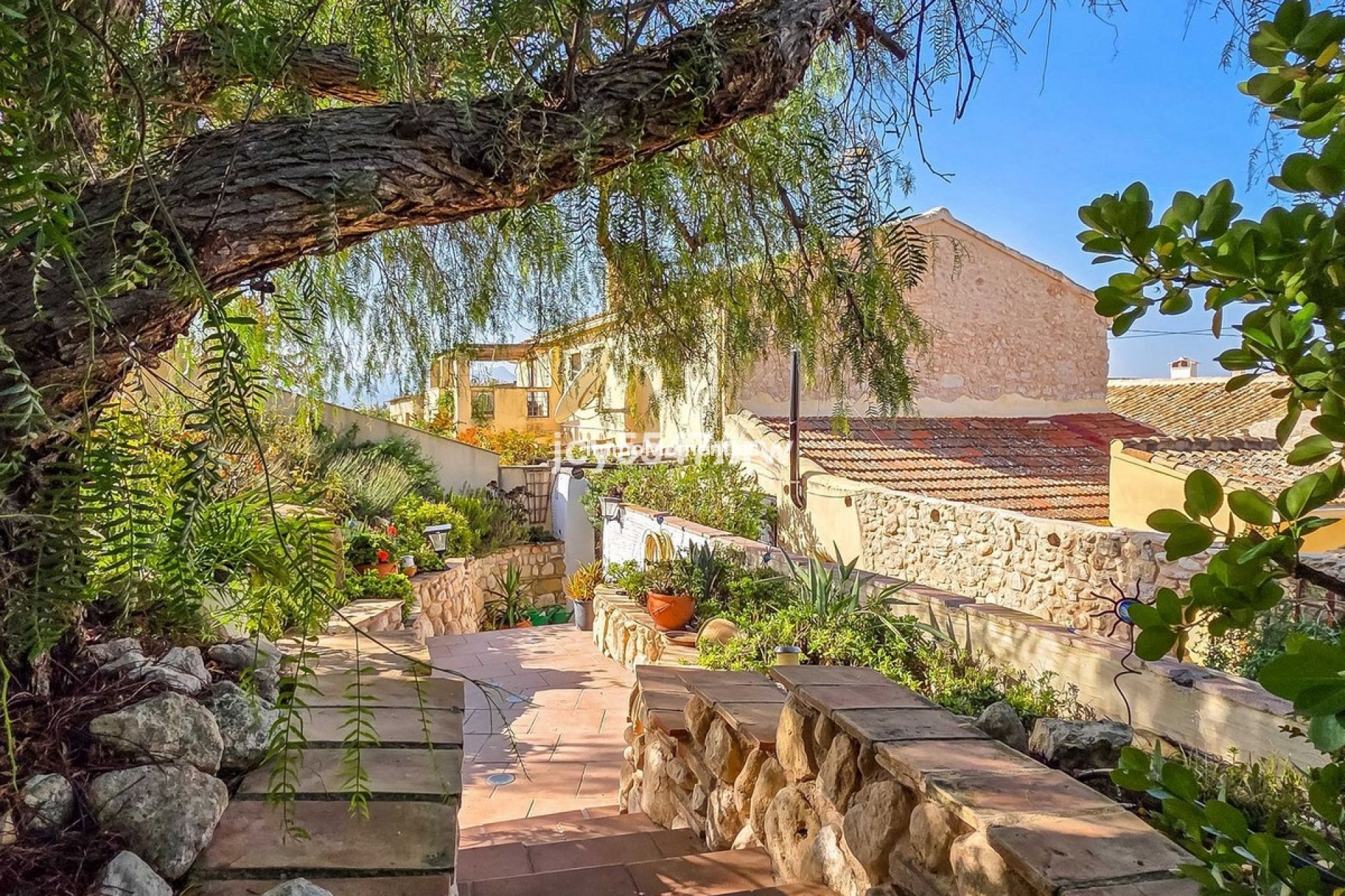 Reventa - Casa de campo - Jumilla - Torre Del Rico