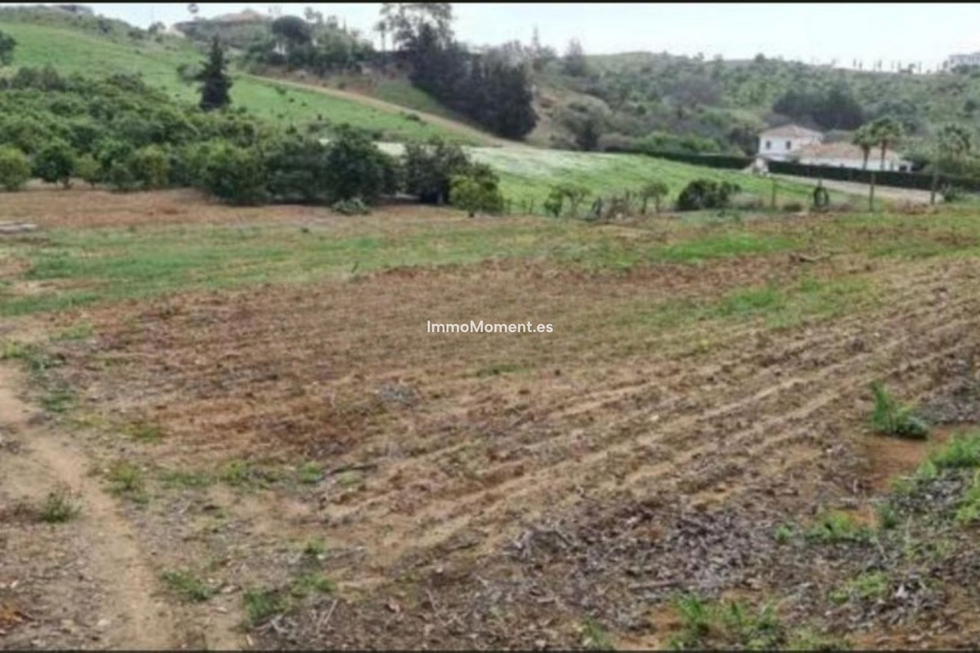 Reventa - Casa de campo - Mijas - Campo Mijas