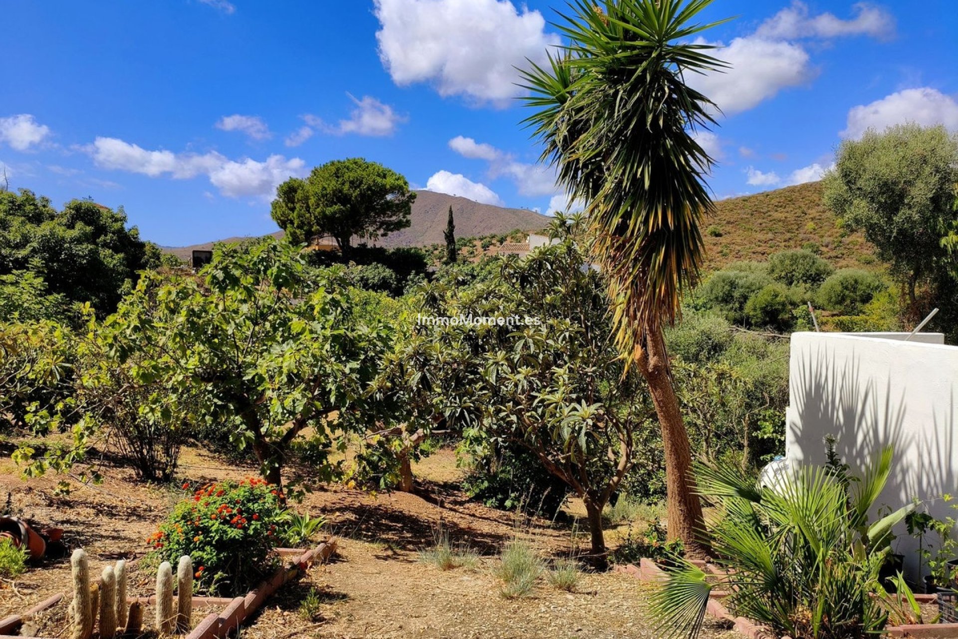 Reventa - Casa de campo - Mijas Costa - La Cala de Mijas
