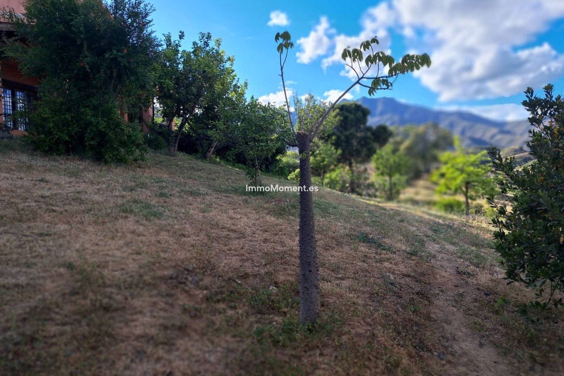 Reventa - Casa de campo - Mijas - La Cala de Mijas