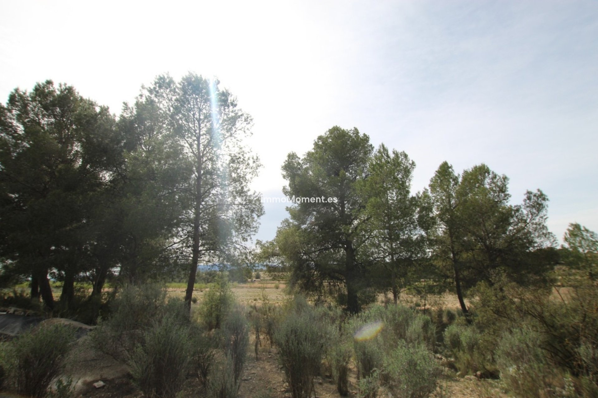 Reventa - Casa de campo - Monóvar - Monòver - Monóvar - Monòver Centro