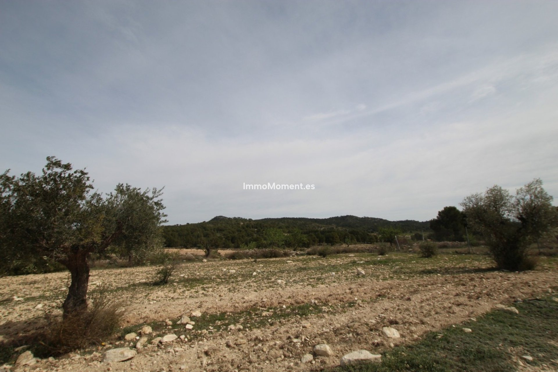 Reventa - Casa de campo - Monóvar - Monòver - Monóvar - Monòver Centro