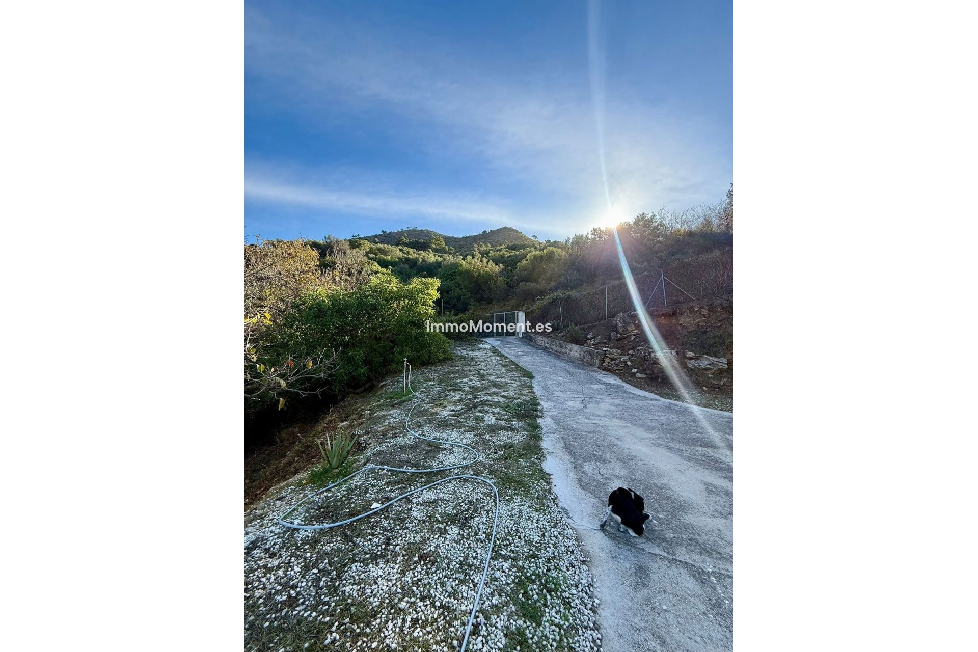 Reventa - Casa de campo - Ojén