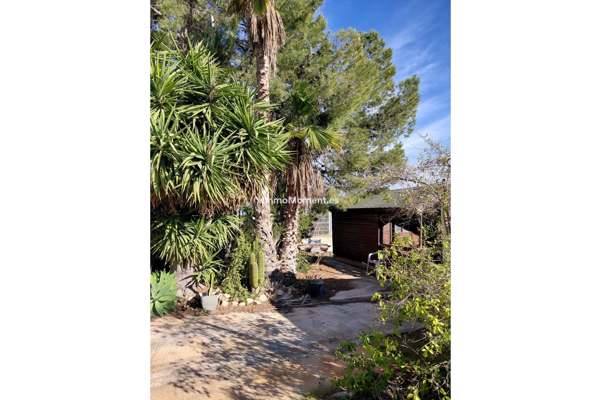 Reventa - Casa de campo - Orihuela - La Murada