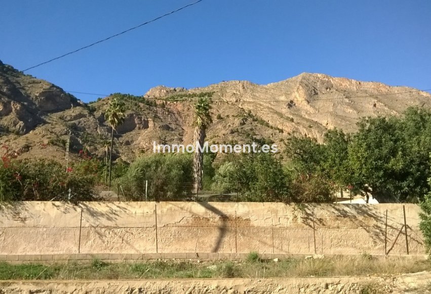 Reventa - Casa de campo - Orihuela - Orihuela Centro