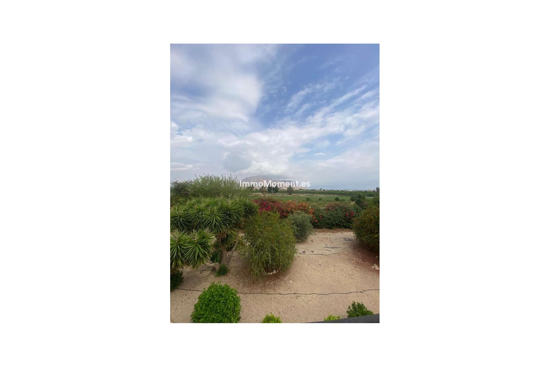 Reventa - Casa de campo - Orihuela - Orihuela Centro