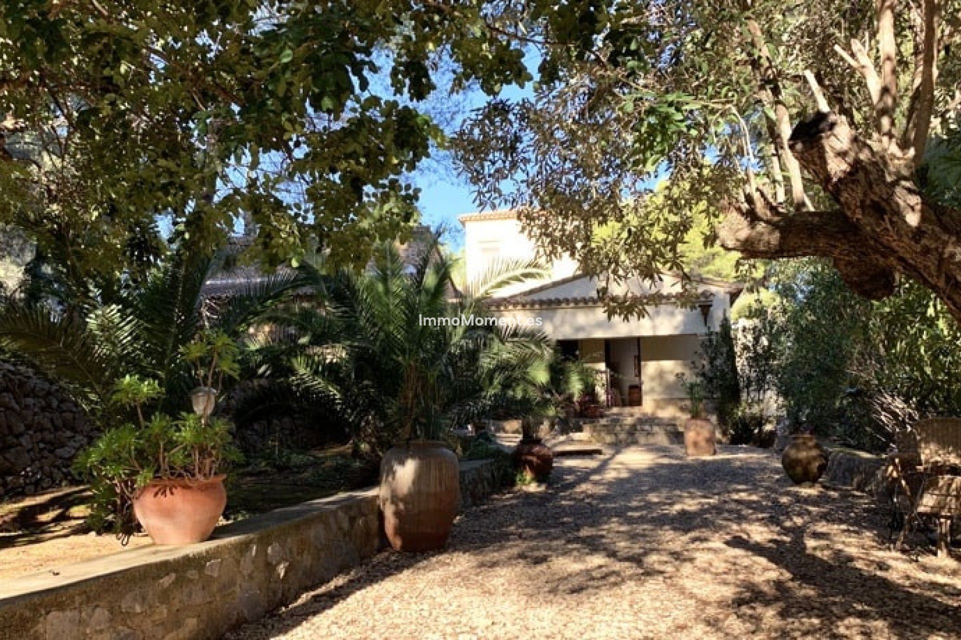 Reventa - Casa de campo - Pedreguer - Pedreguer Centro