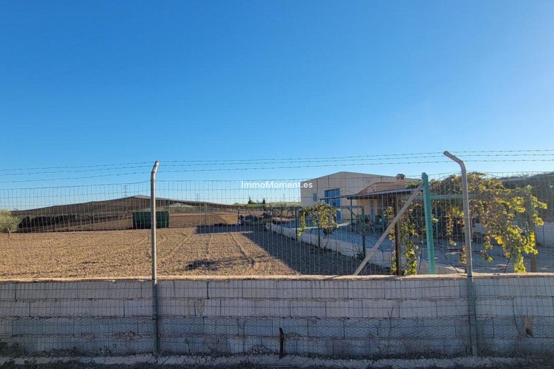 Reventa - Casa de campo - San Miguel de Salinas - San Miguel de Salinas Centro