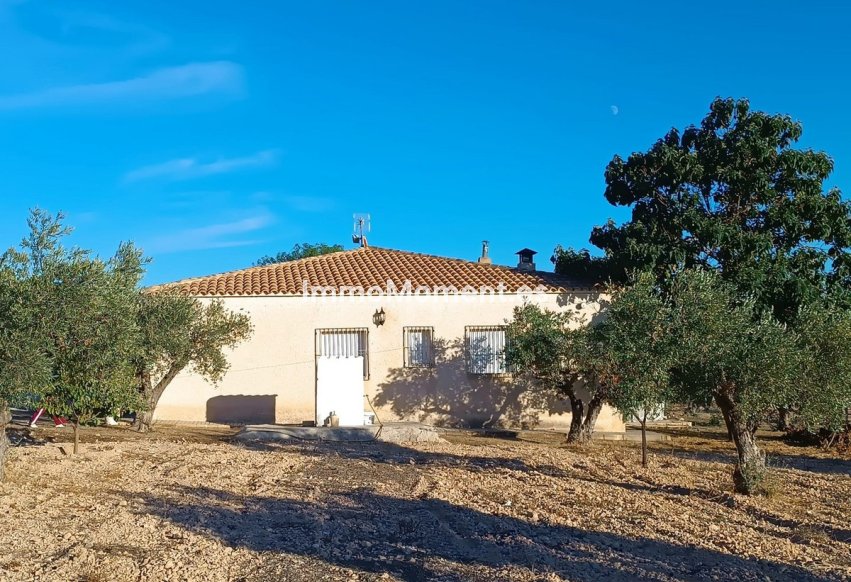 Reventa - Casa de campo - Yecla - Yecla Centro