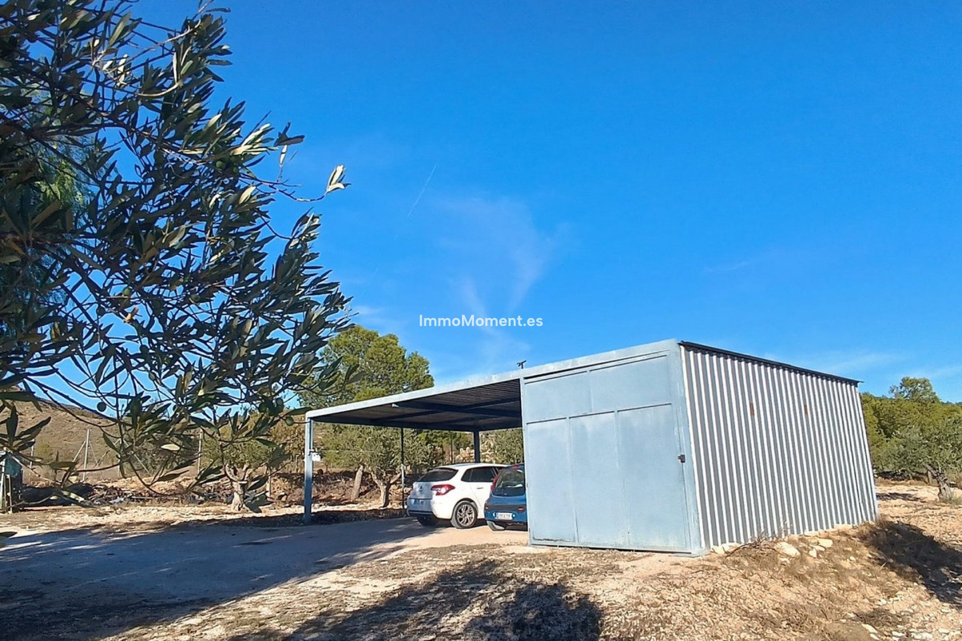 Reventa - Casa de campo - Yecla - Yecla Centro