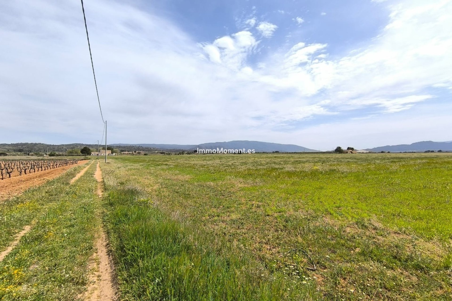 Reventa - Casa de campo - Yecla - Yecla Centro