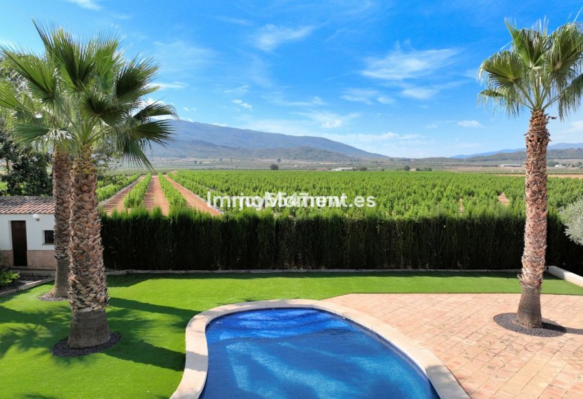 Reventa - Casa de campo - Yecla - Yecla Centro