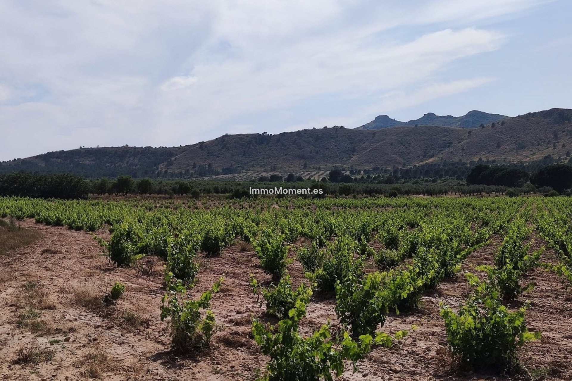 Reventa - Casa de campo - Yecla - Yecla Centro