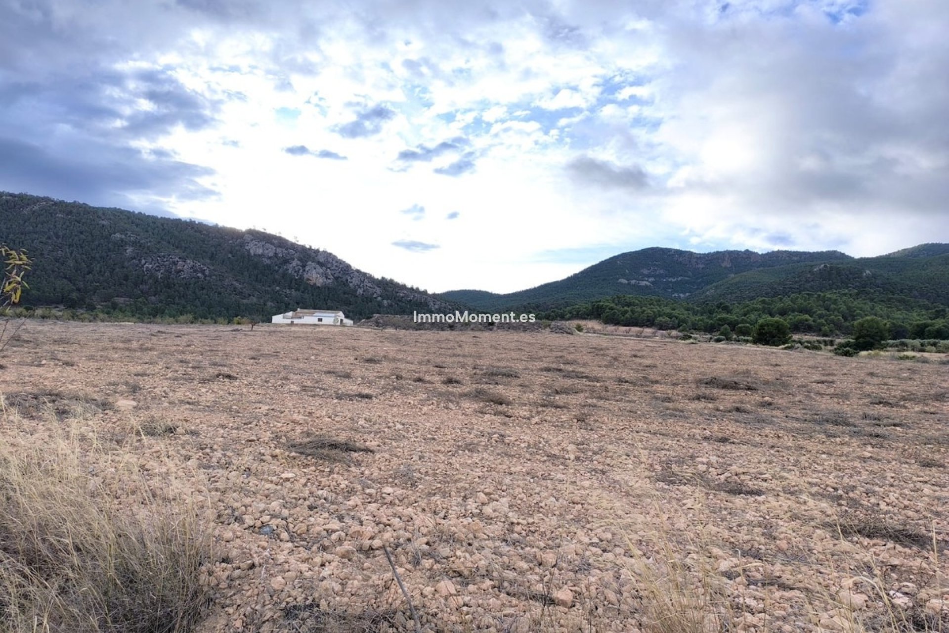 Reventa - Casa de campo - Yecla - Yecla Centro