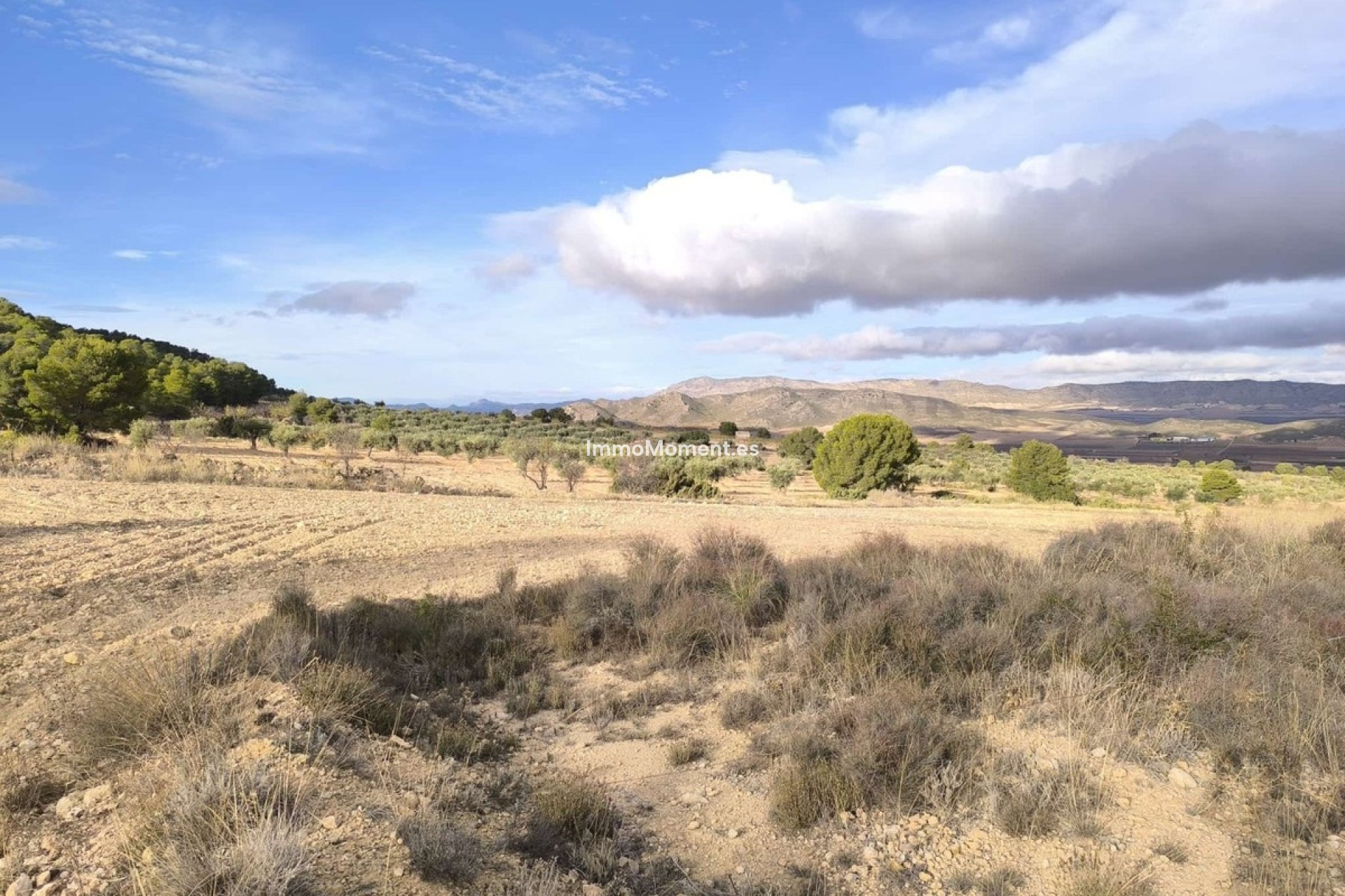 Reventa - Casa de campo - Yecla - Yecla Centro