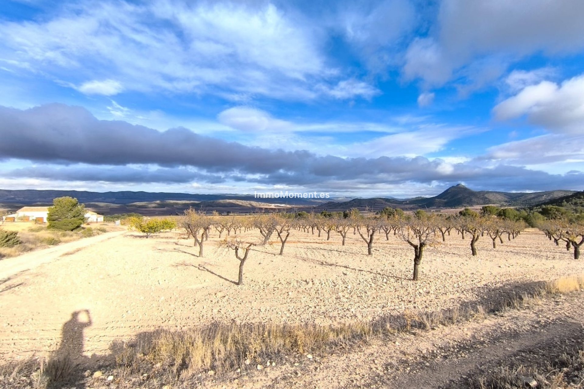 Reventa - Casa de campo - Yecla - Yecla Centro