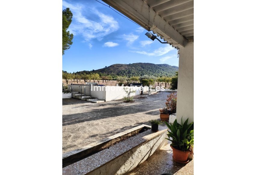 Reventa - Casa de campo - Yecla - Yecla Centro