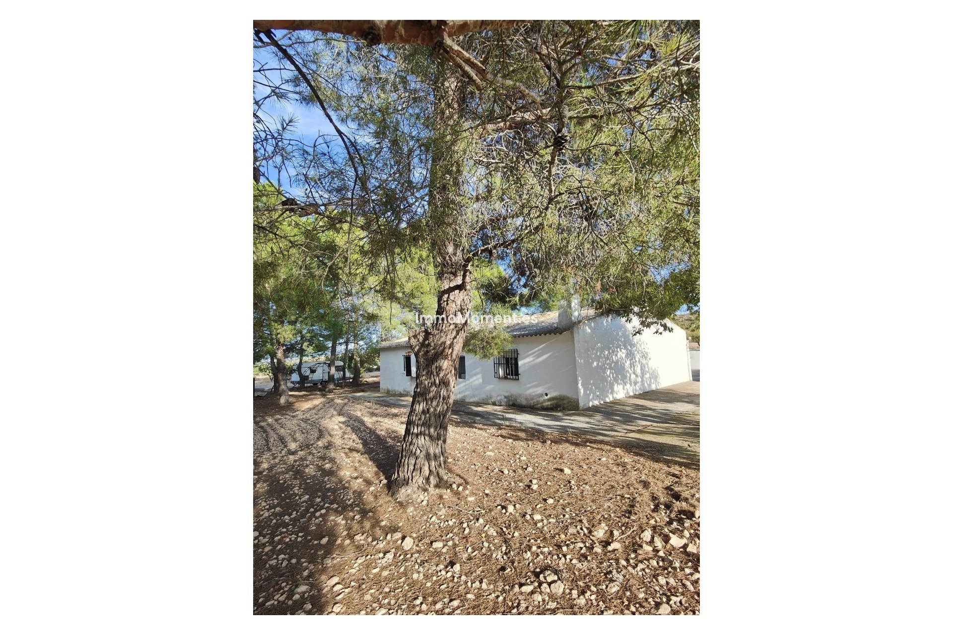 Reventa - Casa de campo - Yecla - Yecla Centro