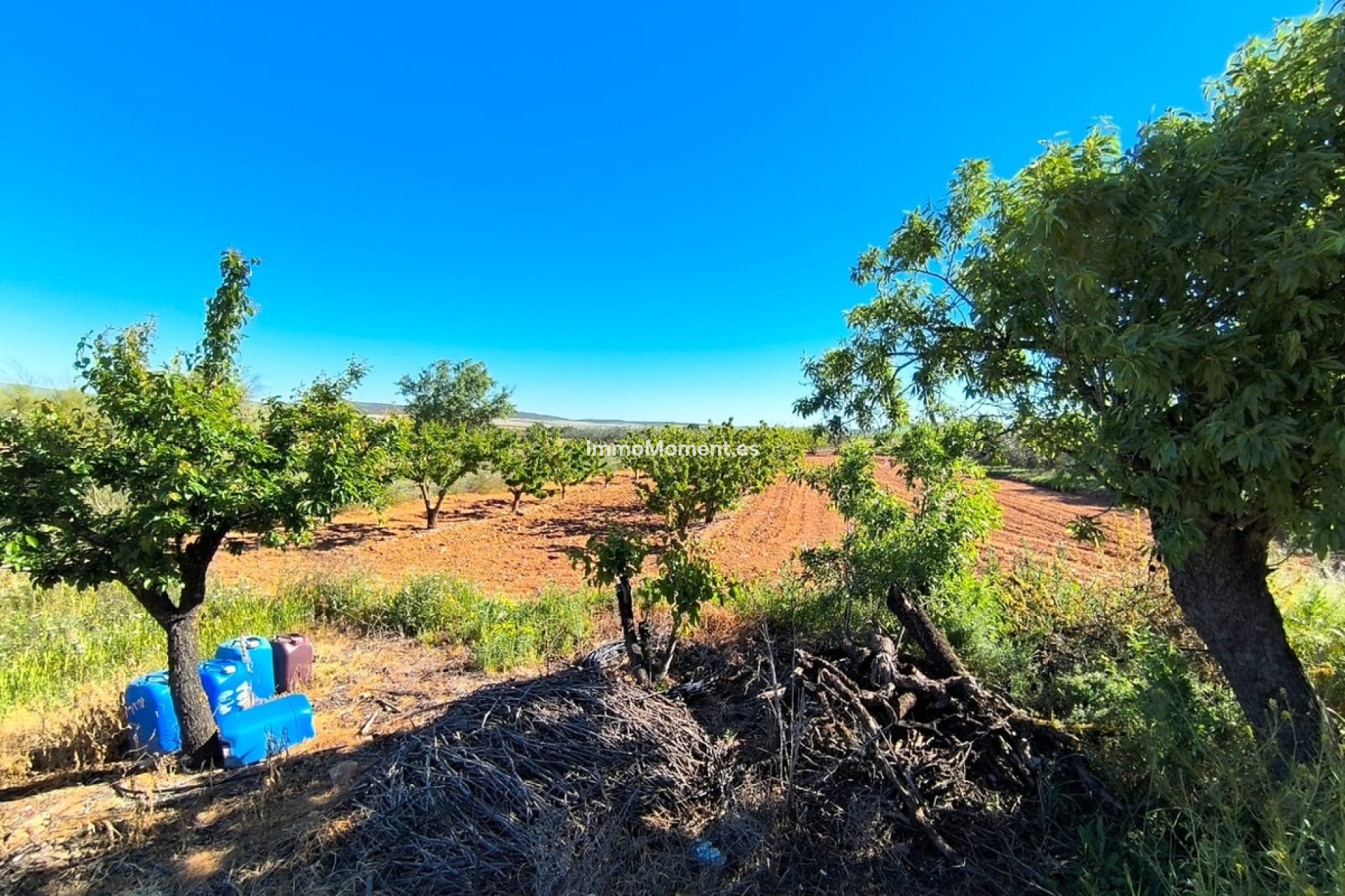 Reventa - Casa de campo - Yecla - Yecla Centro