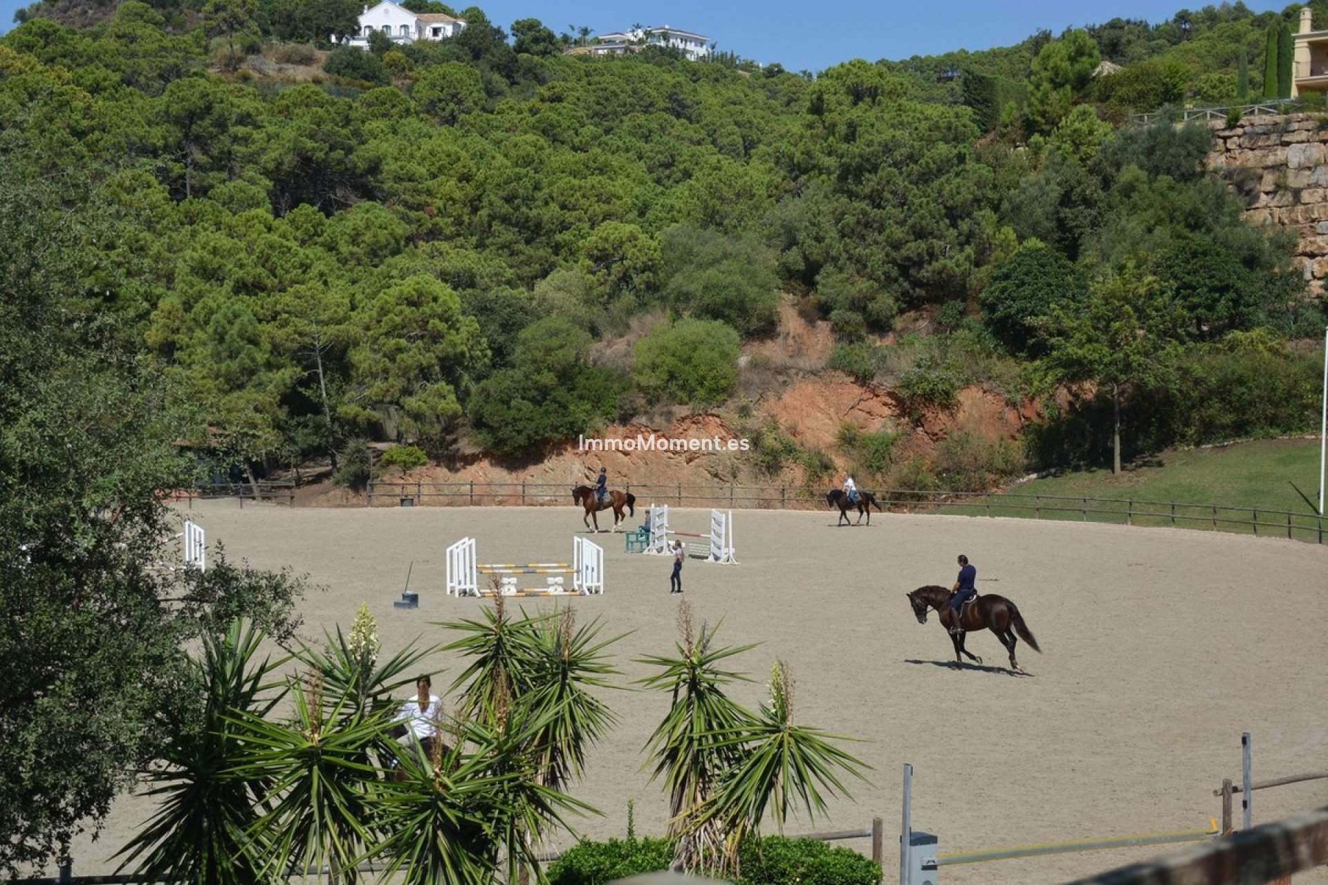 Reventa - Parcela - Benahavís - Benahavís Centro