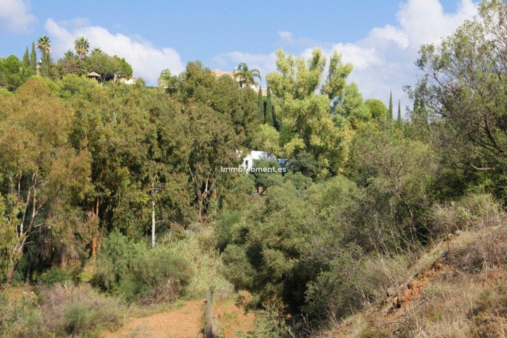 Reventa - Parcela - Benahavís - Benahavís Centro