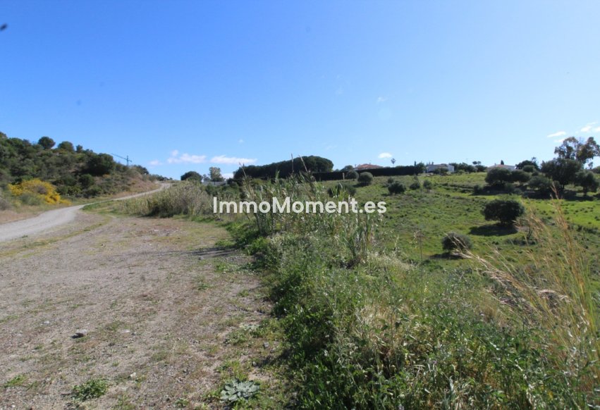 Reventa - Parcela - Benahavís - Benahavís Centro