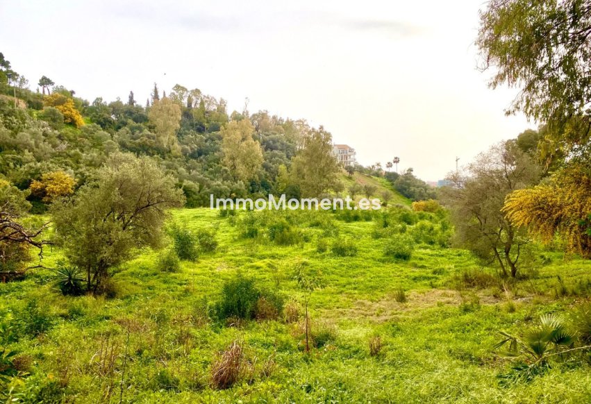 Reventa - Parcela - Benahavís - Benahavís Centro