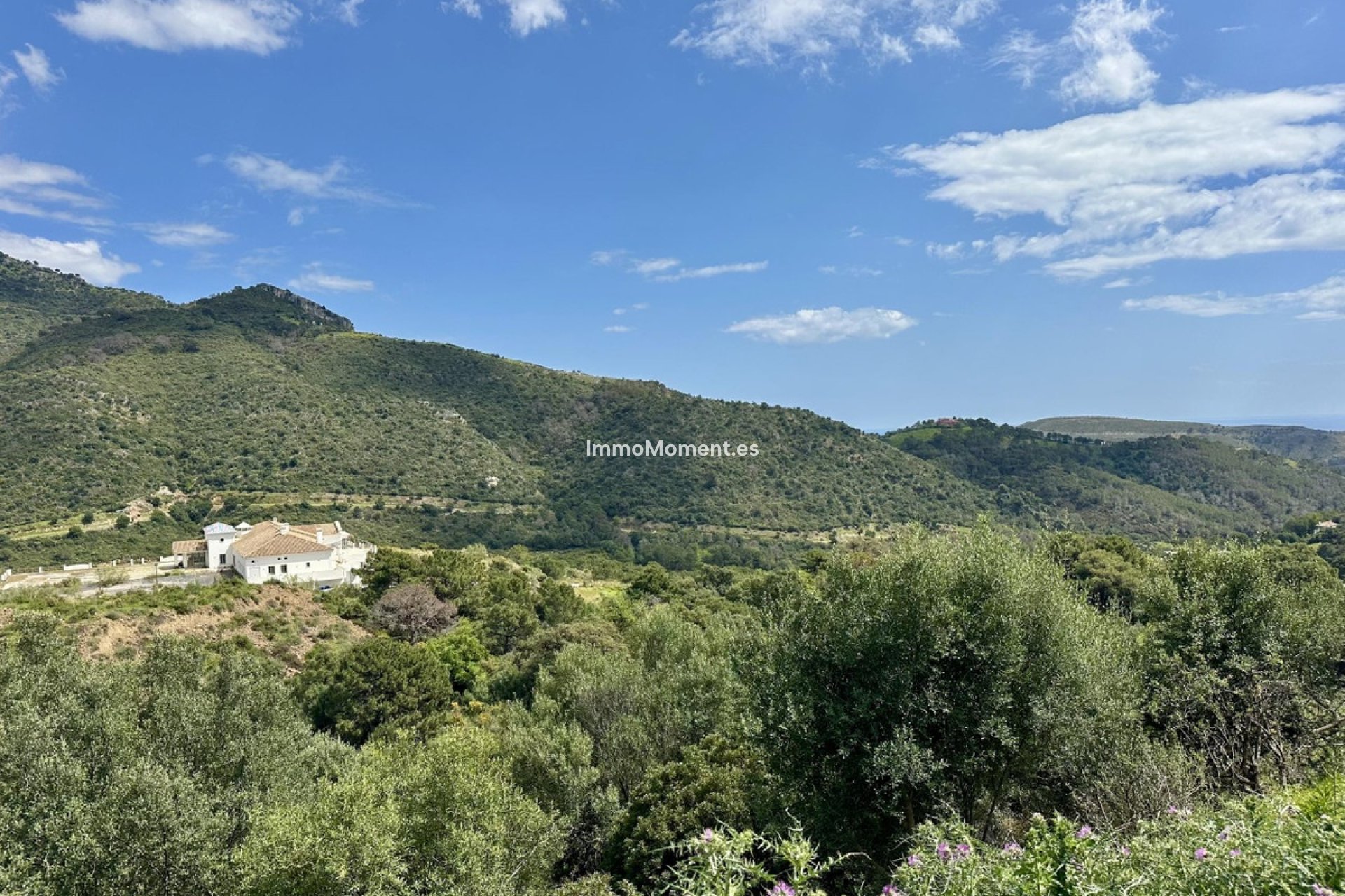 Reventa - Parcela - Benahavís - Benahavís Centro