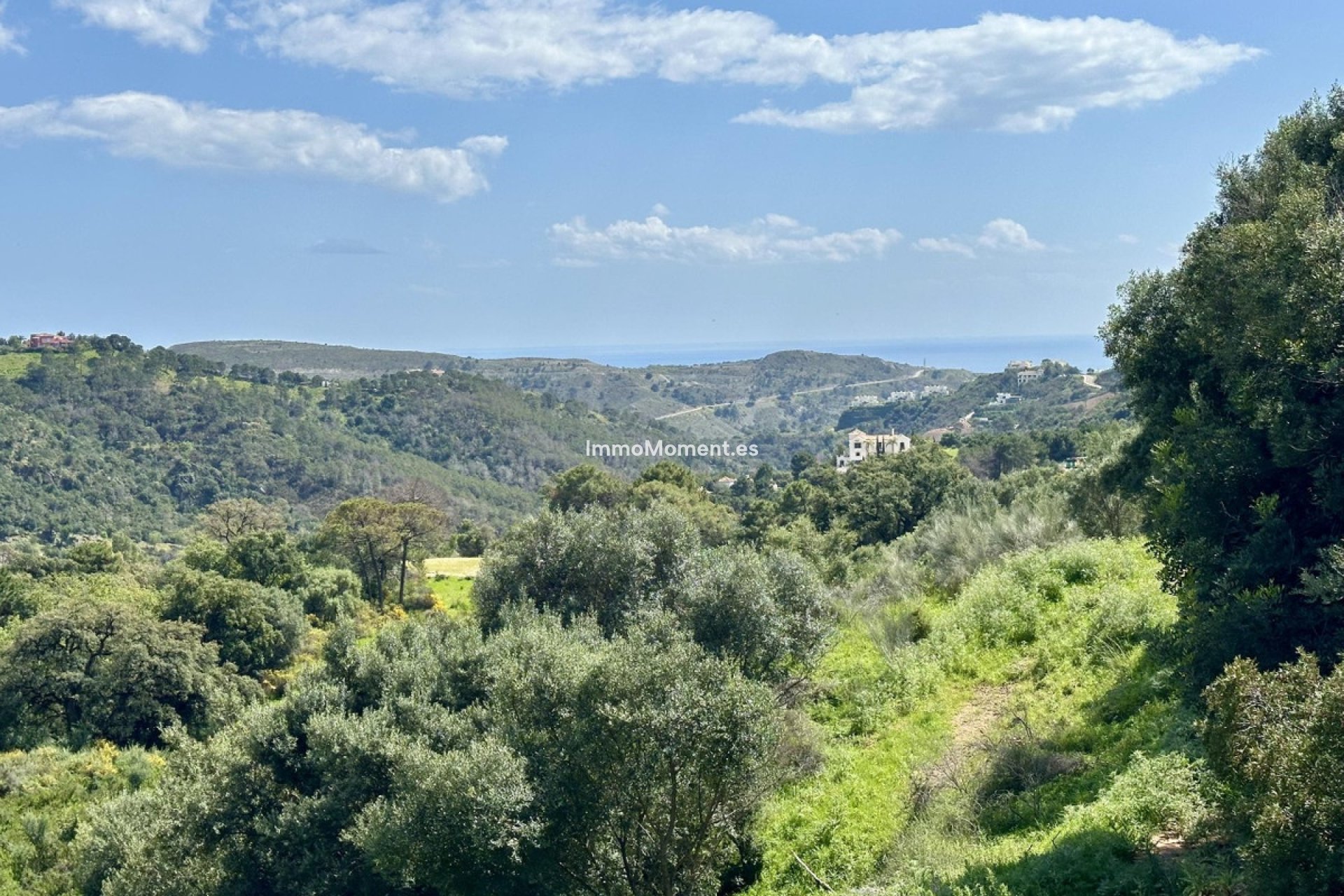 Reventa - Parcela - Benahavís - Benahavís Centro