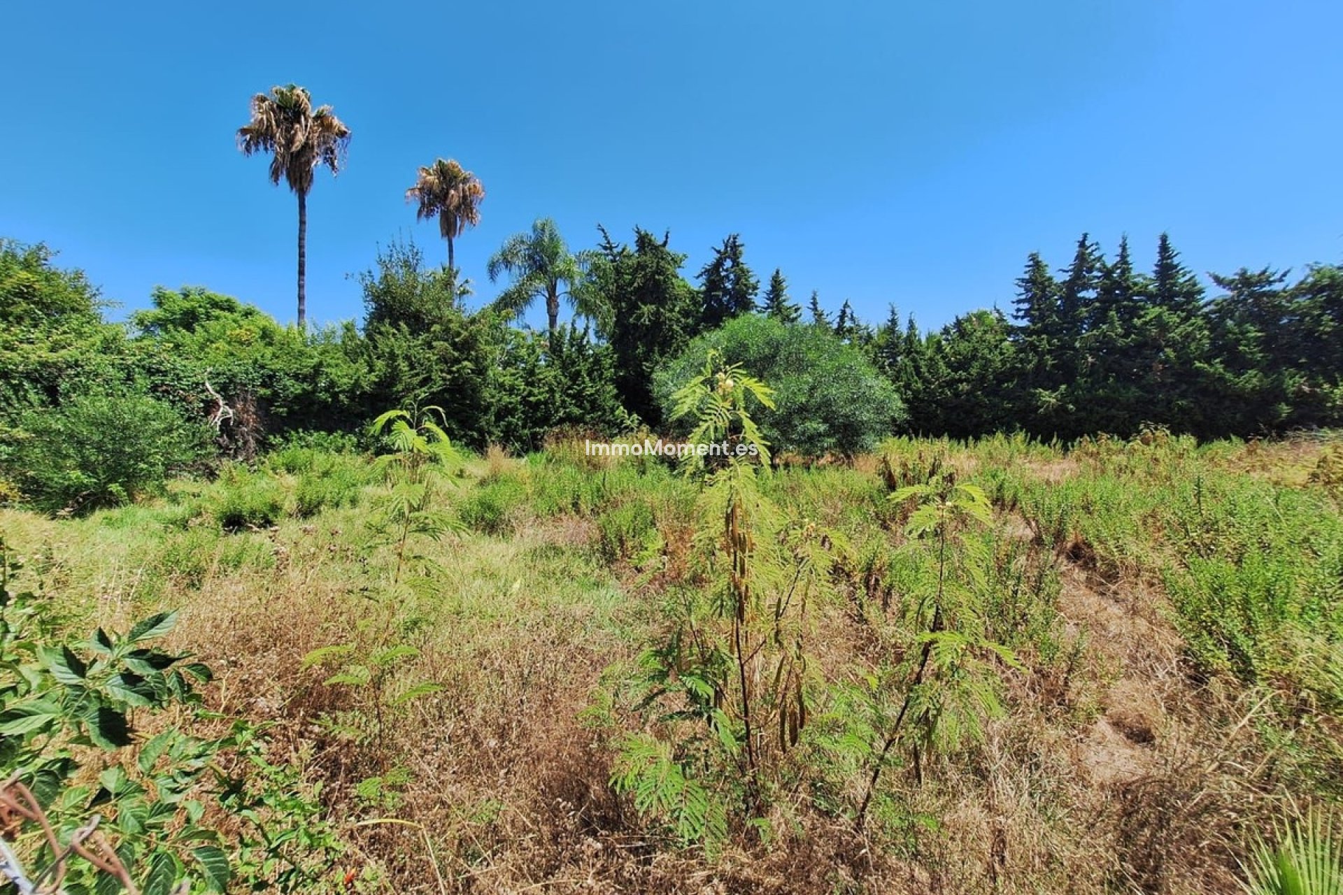 Reventa - Parcela - Estepona  - Atalaya