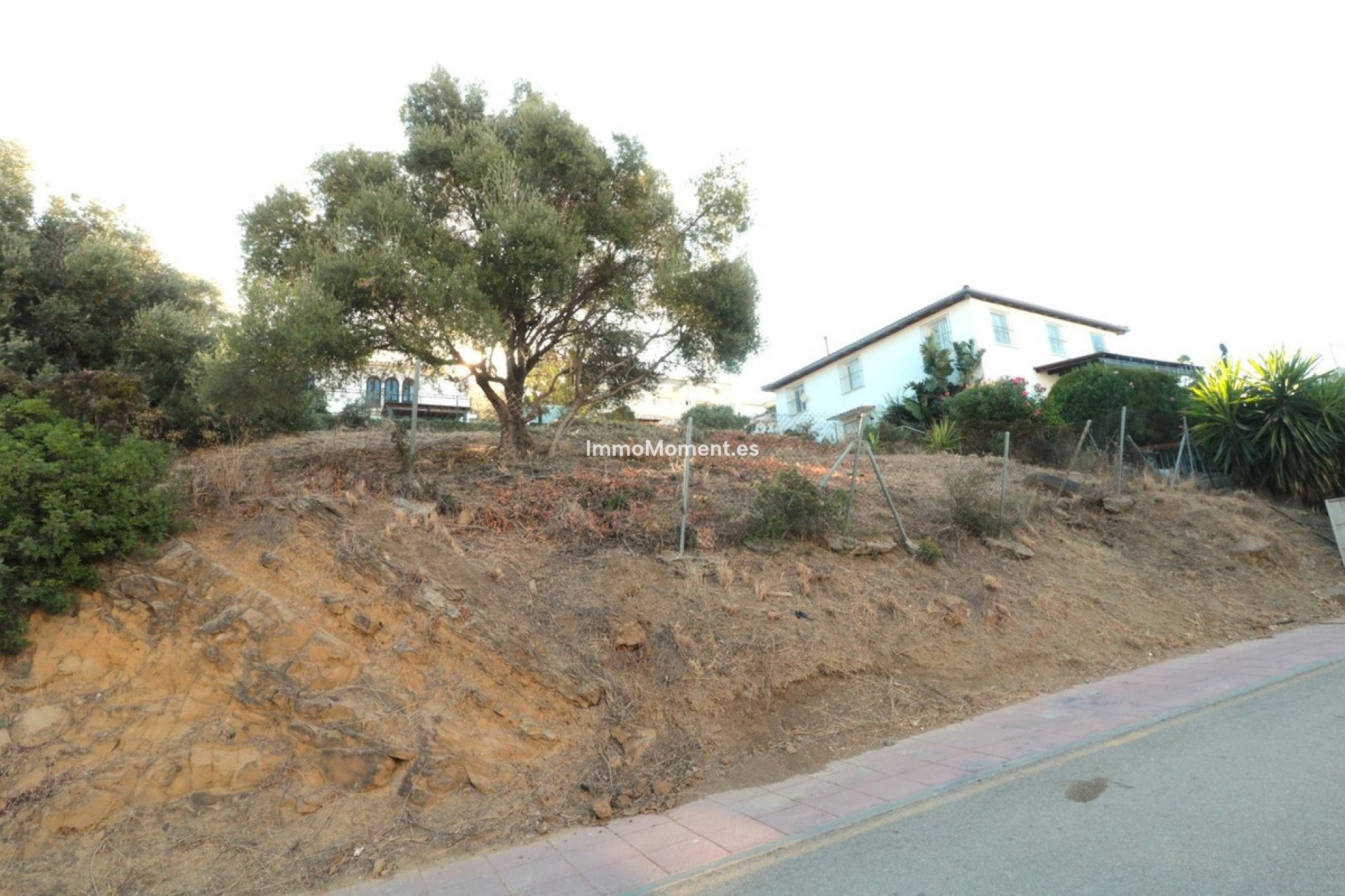 Reventa - Parcela - Estepona  - Estepona Centro