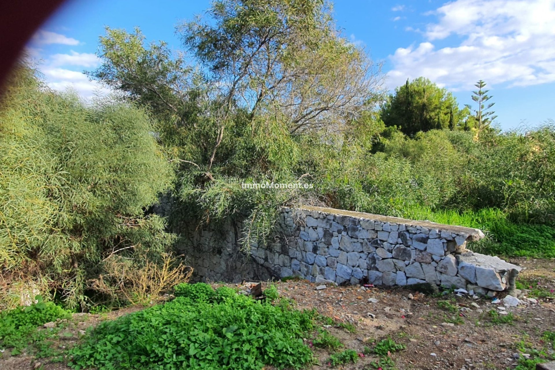 Reventa - Parcela - Estepona  - Estepona Centro