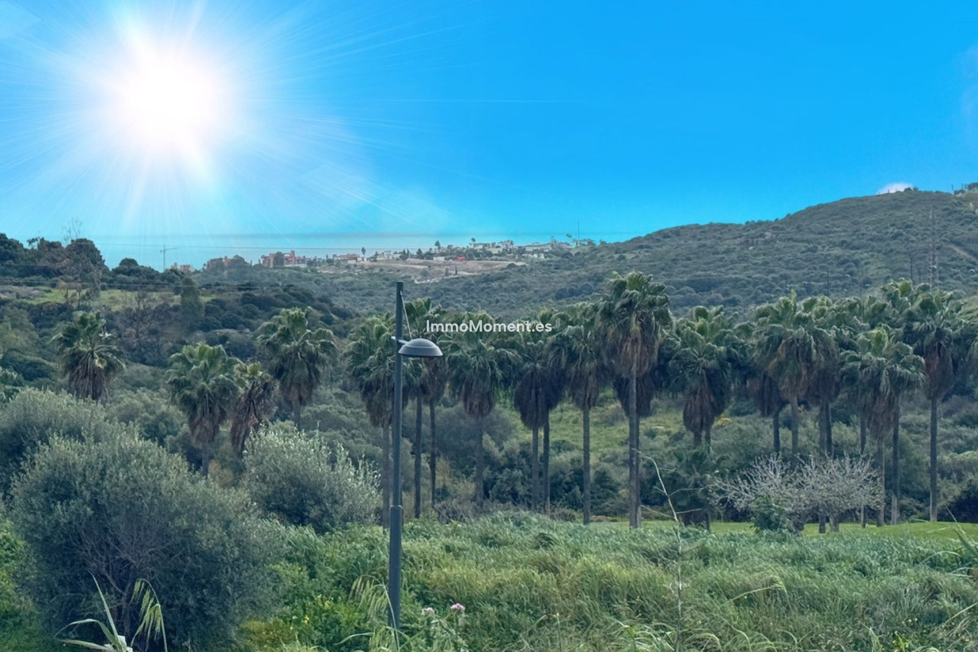 Reventa - Parcela - Estepona  - Estepona Centro