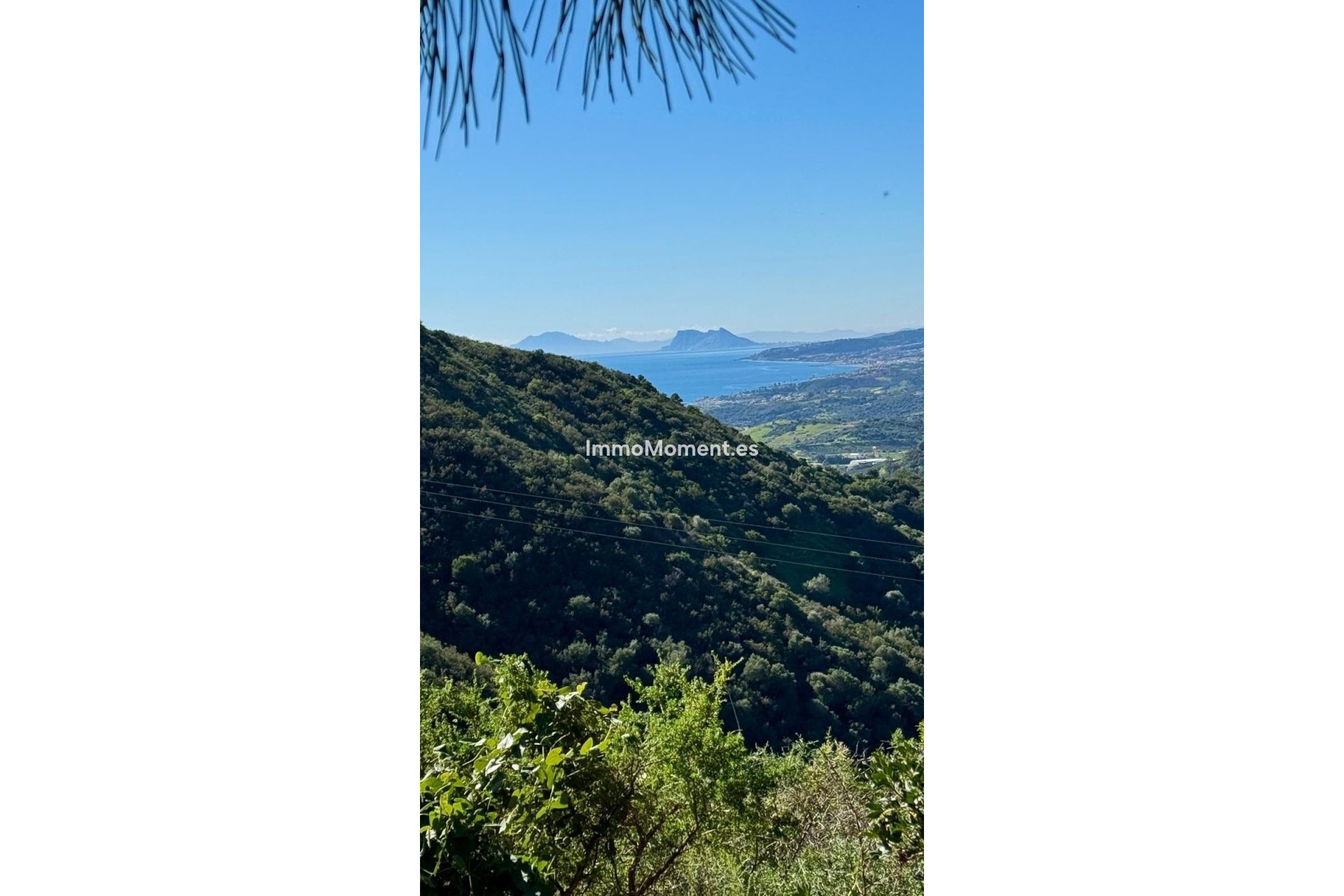 Reventa - Parcela - Estepona  - Estepona Centro
